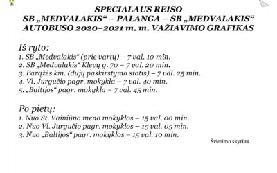 Autobusų važiavimo grafikai