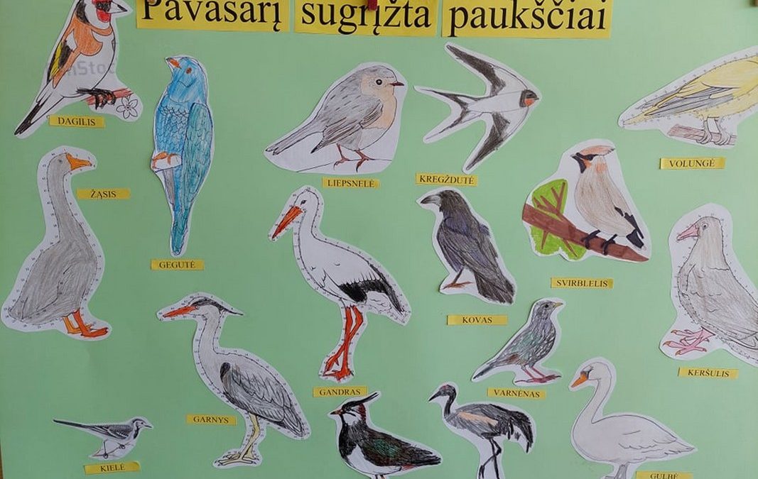 Laukiame sugrįžtančių paukščių