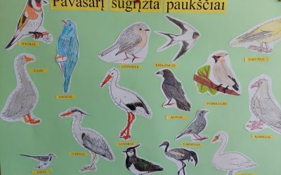 Laukiame sugrįžtančių paukščių